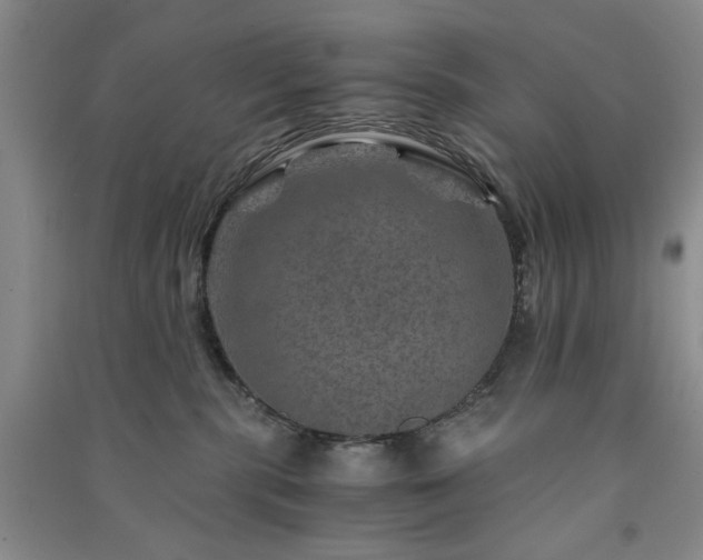 X0000091360283200708171530