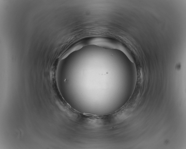 X0000091360284200708171530