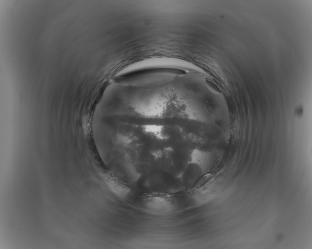 X0000091360285200708171530