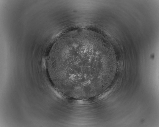 X0000091360286200708171530