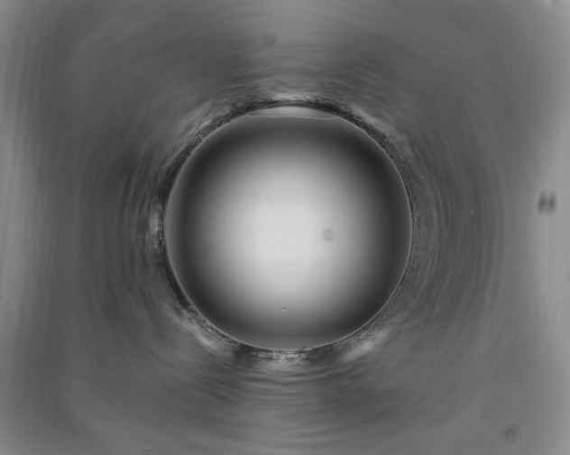 X0000091360288200708171530