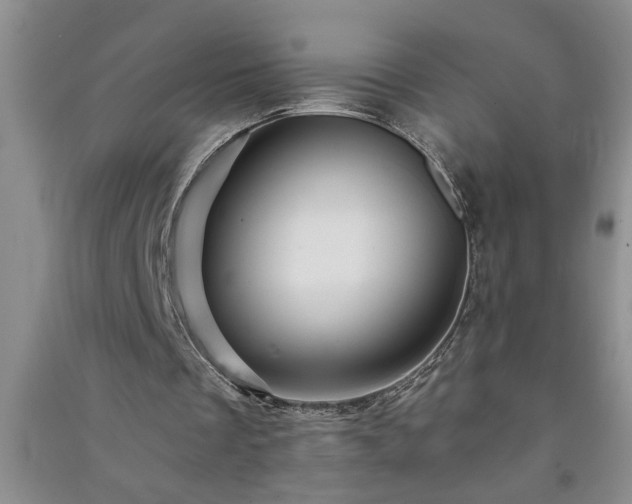 X0000091360289200708171530