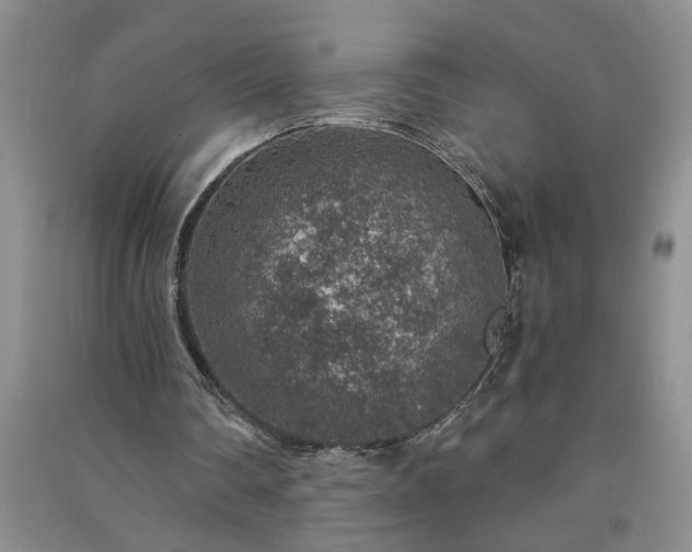 X0000091360290200708171530