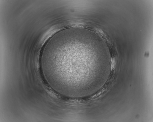 X0000091360291200708171530