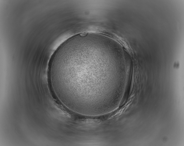 X0000091360292200708171530
