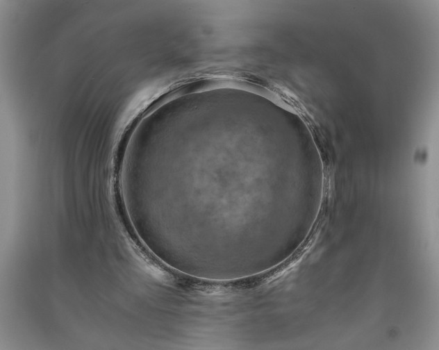 X0000091360293200708171530