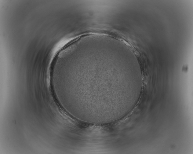 X0000091360294200708171530