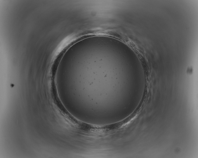 X0000091360295200708171530