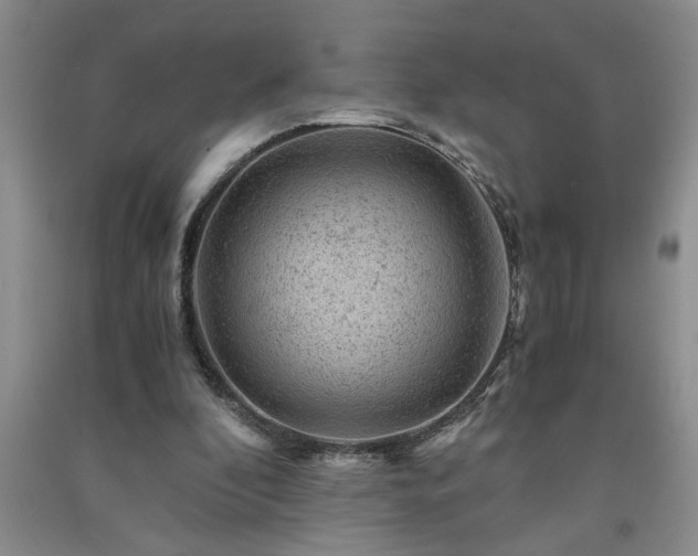 X0000091360296200708171529