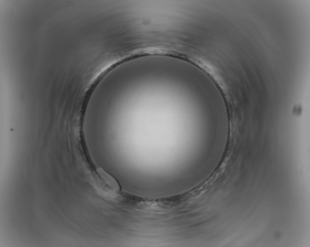 X0000091360297200708171529