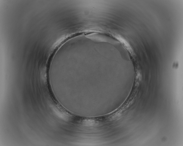 X0000091360298200708171529