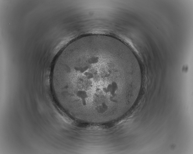 X0000091360299200708171529