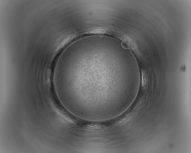 X0000091360300200708171529