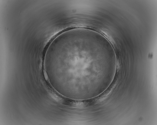 X0000091360301200708171529