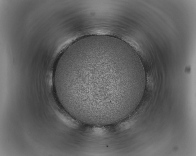 X0000091360302200708171529
