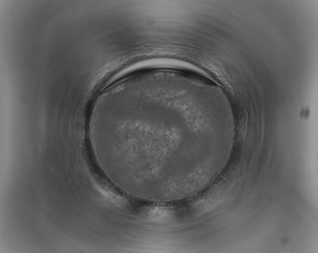 X0000091360303200708171529
