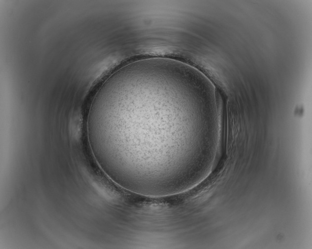 X0000091360304200708171529