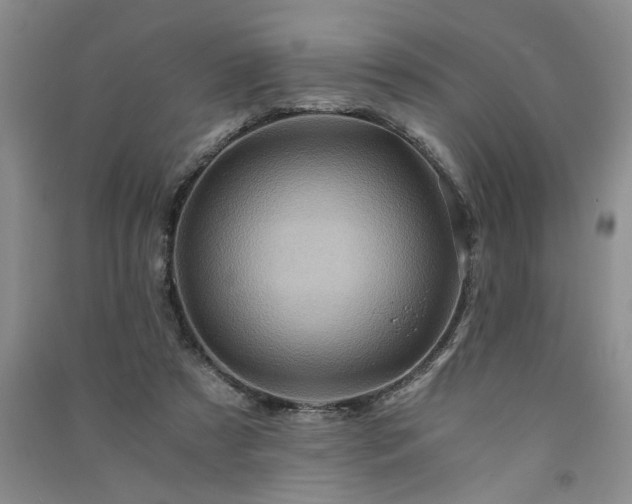 X0000091360305200708171529