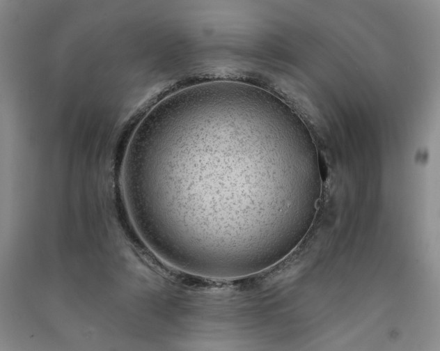 X0000091360306200708171529
