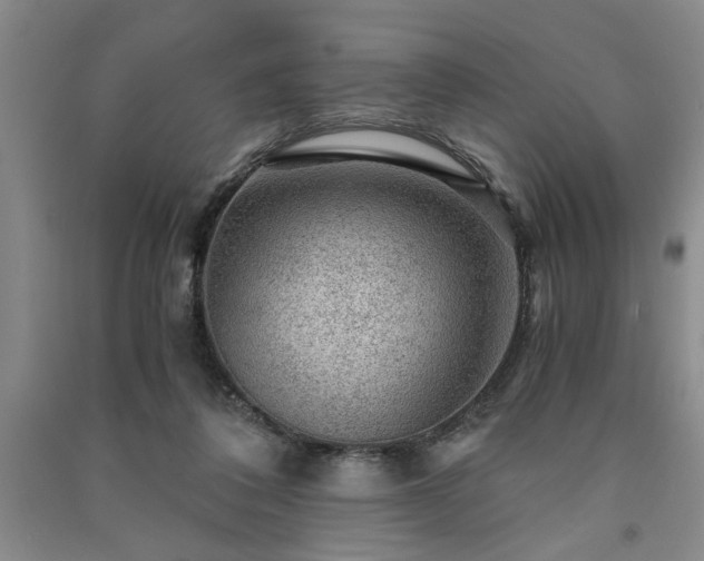 X0000091360308200708171529