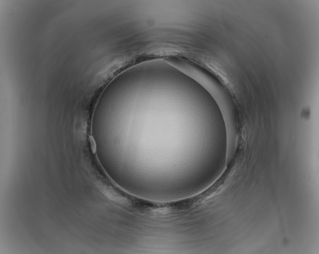 X0000091360309200708171529