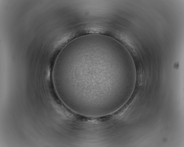 X0000091360310200708171529