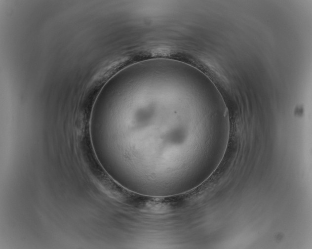X0000091360311200708171529