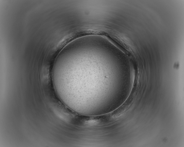 X0000091360312200708171529