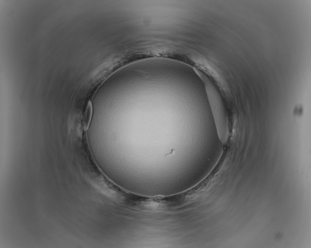 X0000091360313200708171529