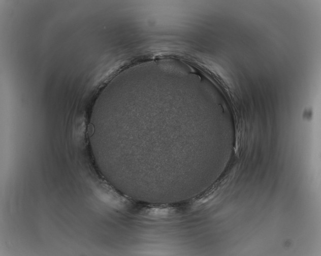 X0000091360314200708171529