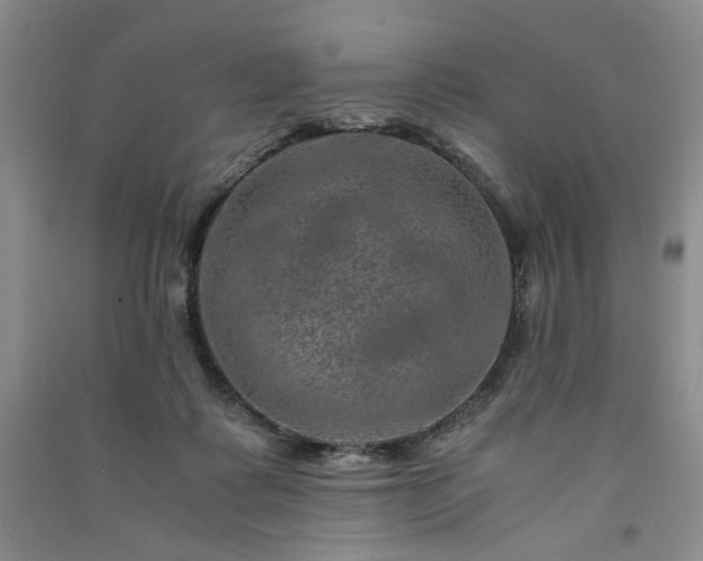 X0000091360315200708171529