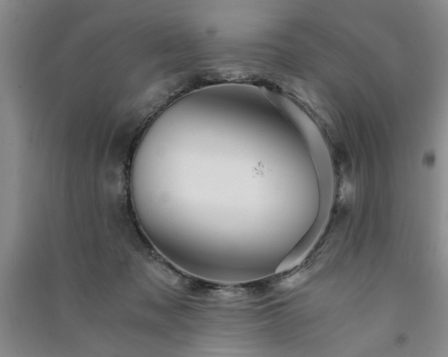 X0000091360317200708171529