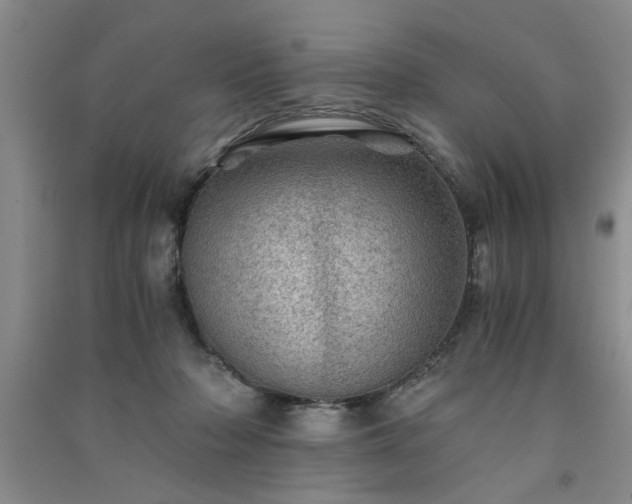 X0000091360318200708171529