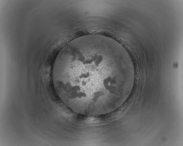 X0000091360319200708171529