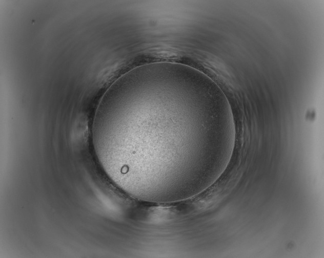 X0000091360320200708171529