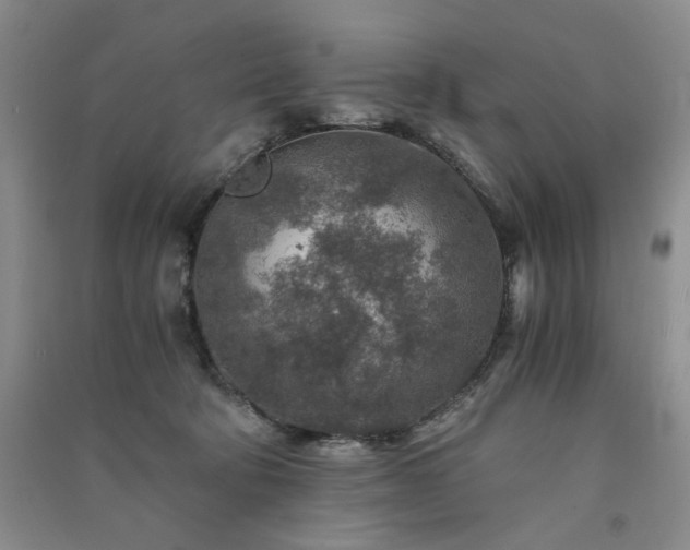 X0000091360322200708171529