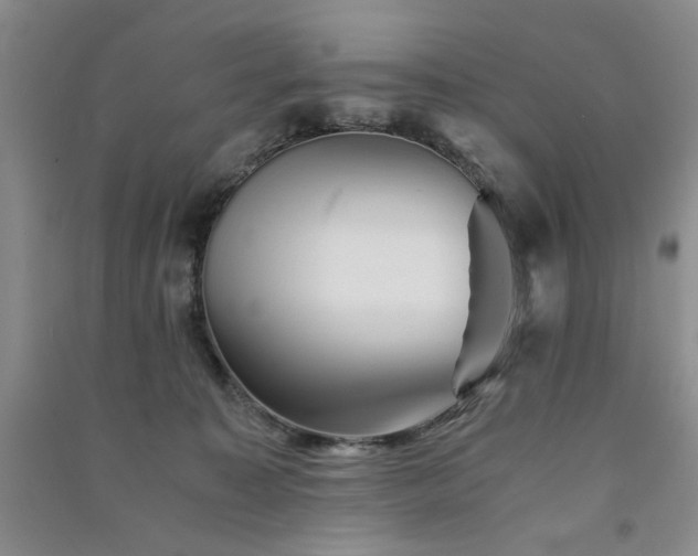 X0000091360323200708171529