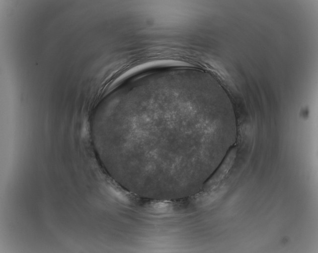 X0000091360325200708171529