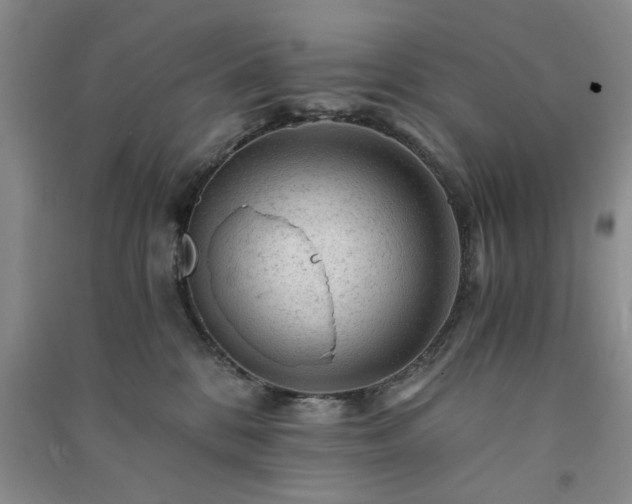 X0000091360328200708171529