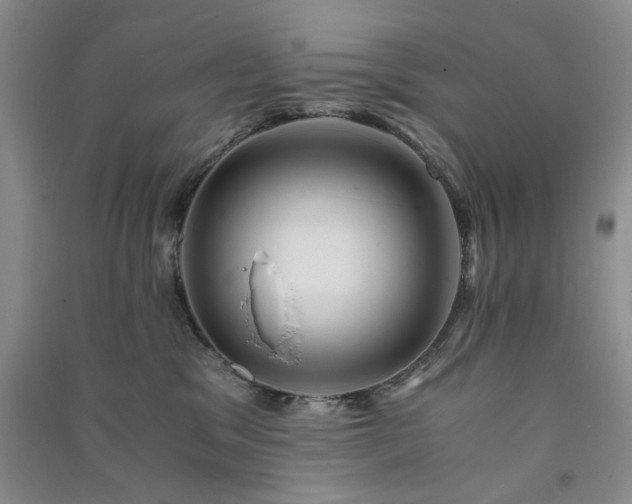 X0000091360329200708171529