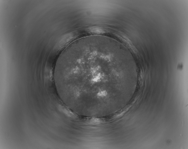 X0000091360330200708171529