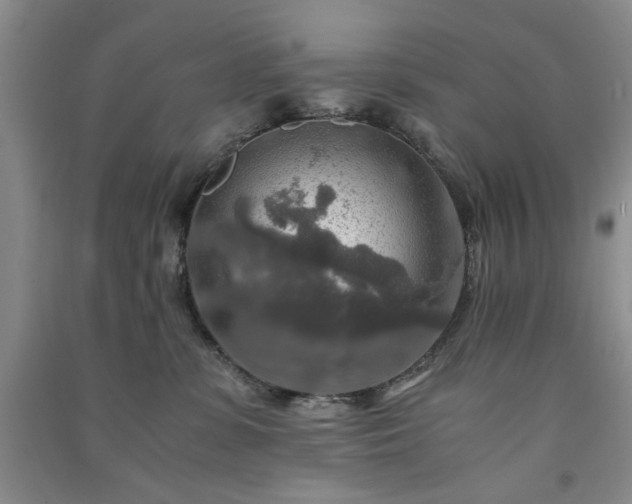 X0000091360331200708171529