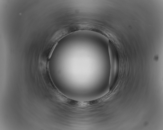 X0000091360333200708171529