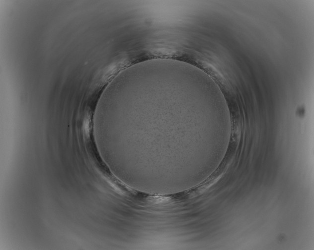 X0000091360334200708171529