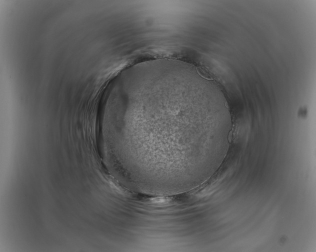 X0000091360335200708171529