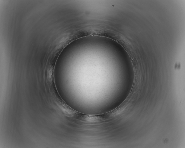 X0000091360336200708171529