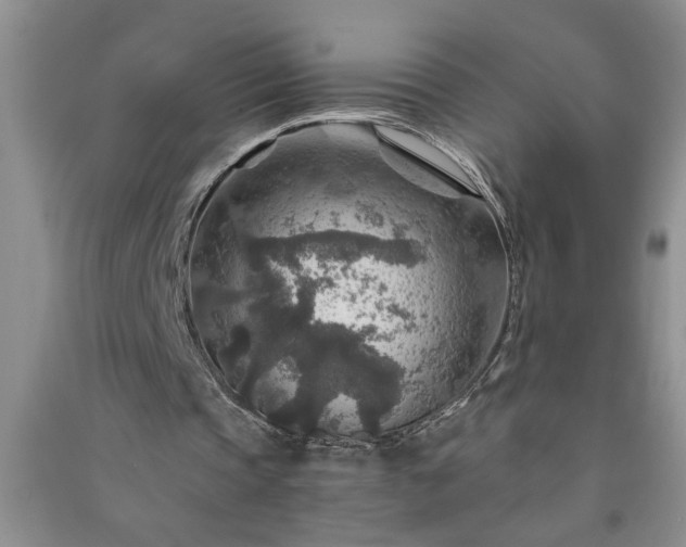 X0000091360337200708171528
