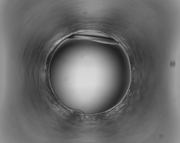 X0000091360338200708171528