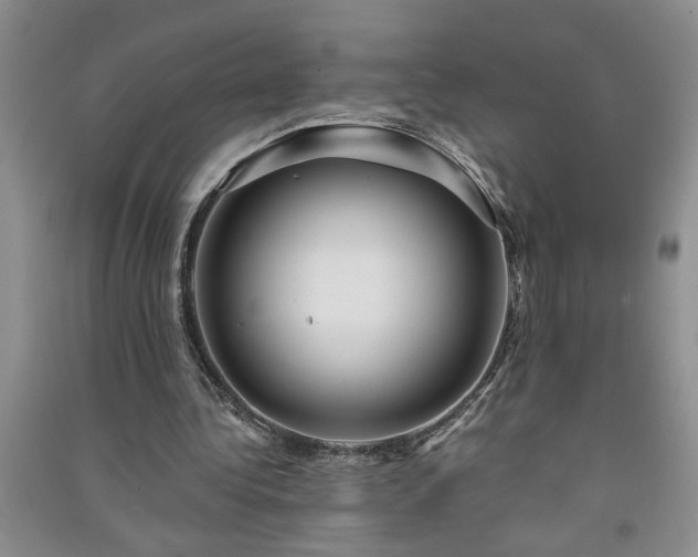 X0000091360340200708171528