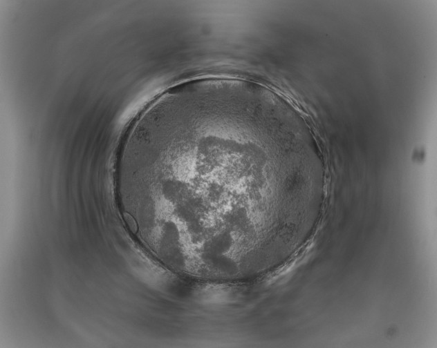 X0000091360341200708171528